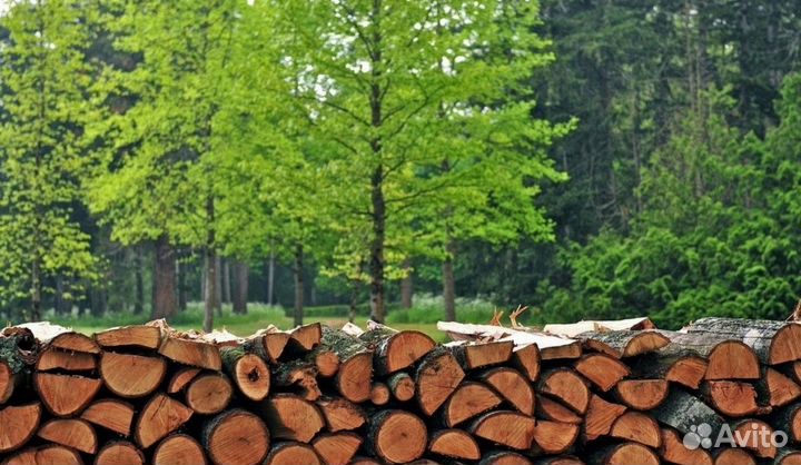 Дрова дубовые