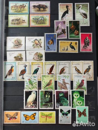 Марки Фауна Птицы 8 серий разных стран MNH 1970-80