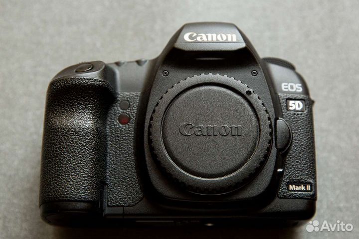 Canon 5D markii