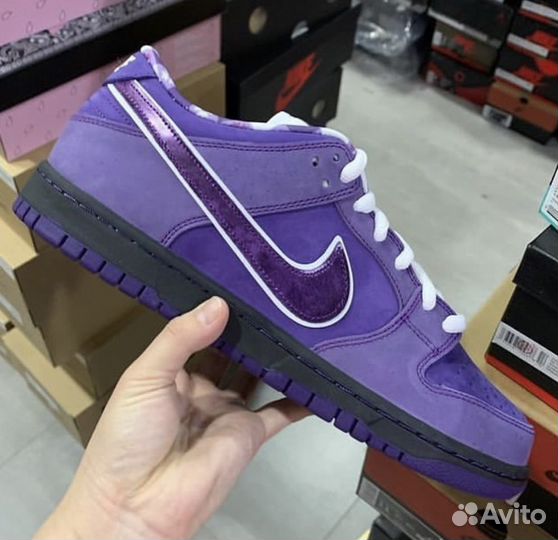 Nike SB Dunk Low x Concepts Purple Lobster