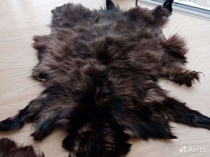 Шкуры козла