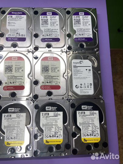 Жесткие диски 1tb 2tb WD Red Purple Black