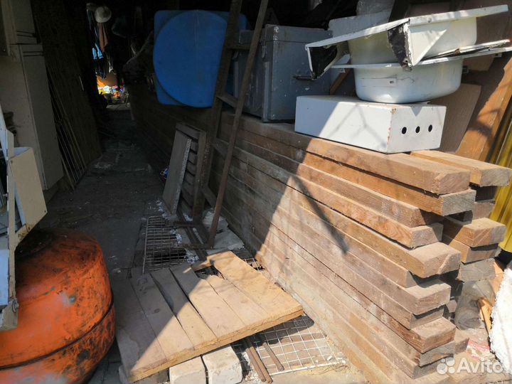 Лиственница сибирская