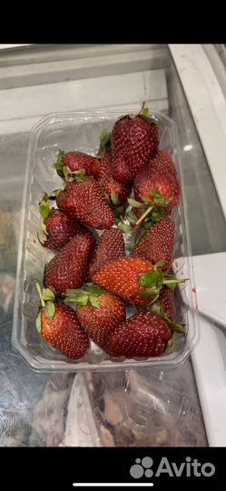 Списанные продукты на корм животным и т.д