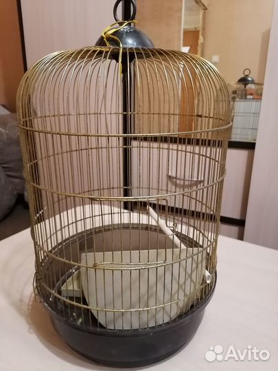 Клетка для птиц