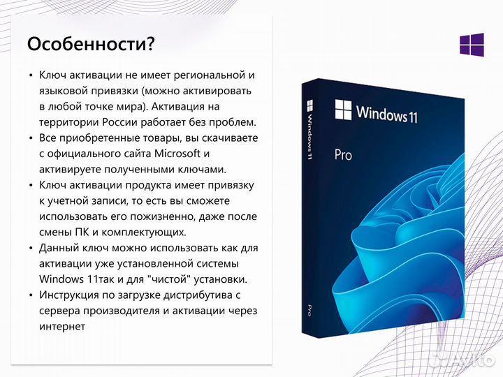 MS Windows 11 Professional ESD