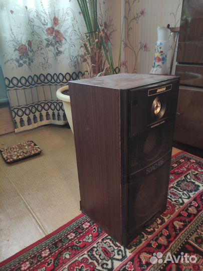 Колонки Вега 50 ас 106