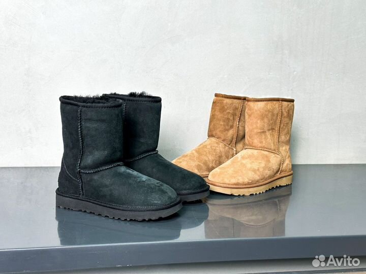 UGG Short Boot II