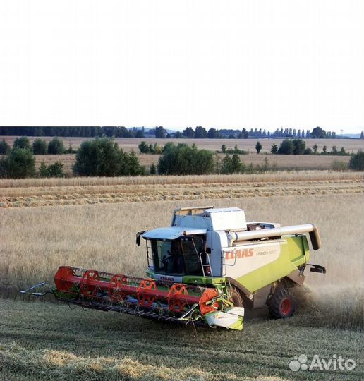 Уборка урожая 2023 класс