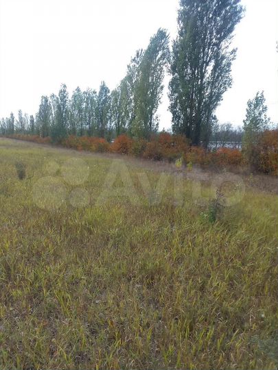 Участок 4090 га (СНТ, ДНП)
