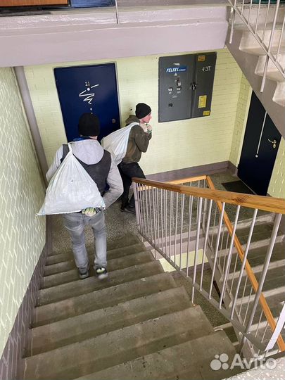 Грузчики. Разнорабочие. Уборка снега