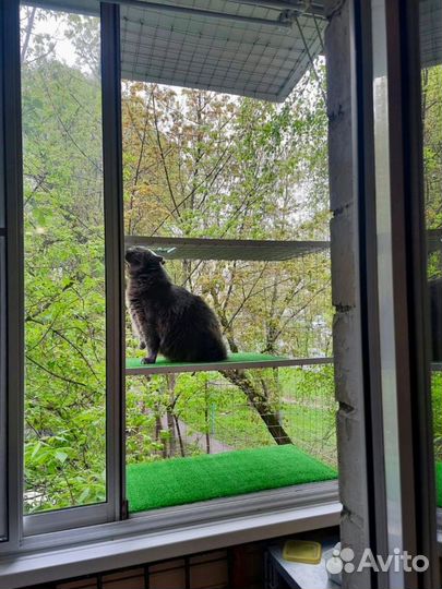 Домик для кошки на окна