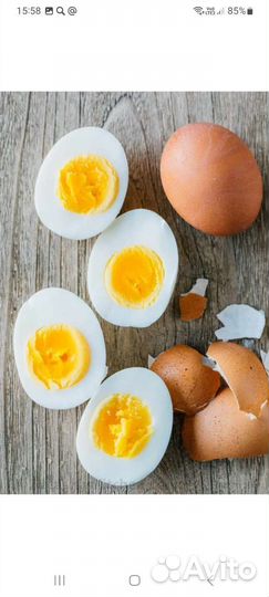 Домашние куриные яйца
