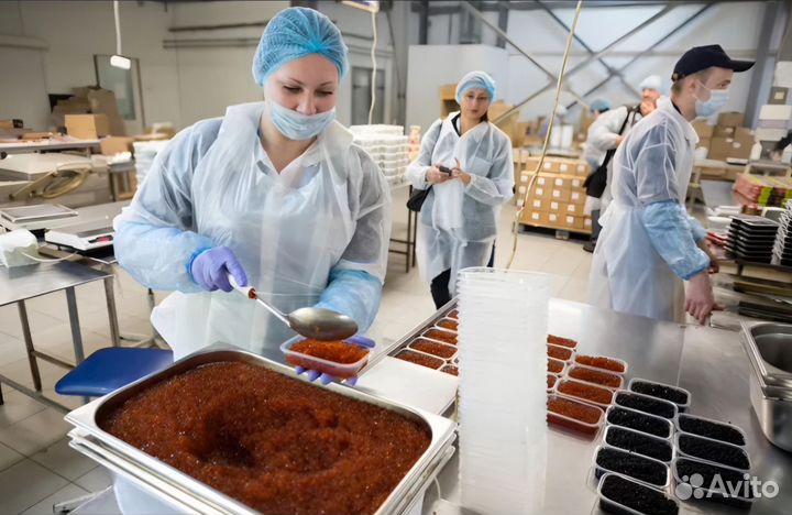 Вахта 15/15 - Москва Упаковщик красной Икры