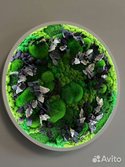 Мох стабилизированный круг из мха