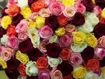 Розы Букеты Пионы Цветы 51 101 Роза