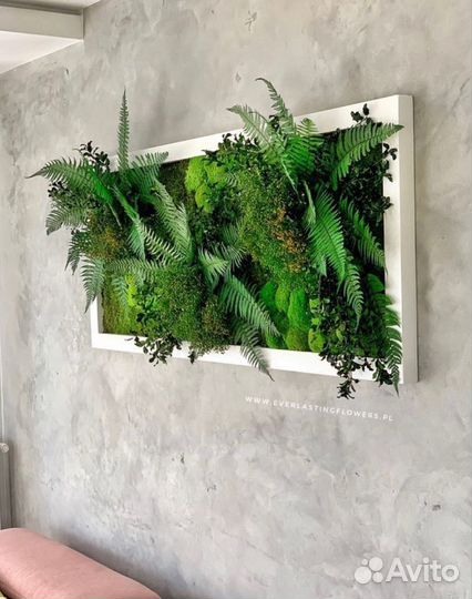 Озеленение; Фитостена; Фитомодули