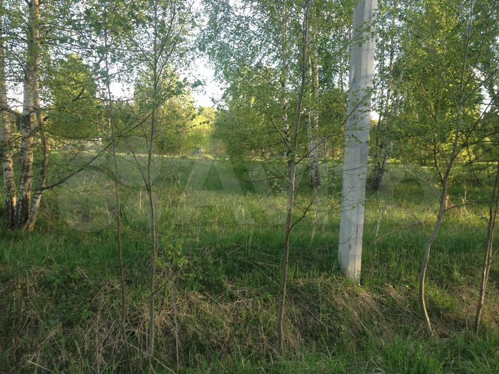 Участок 15 сот. (ИЖС)