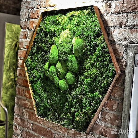 Панно из мха 40 см