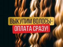 Скупка волос сдать продать волосы Невинномысск