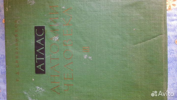 Книга анатомия человека