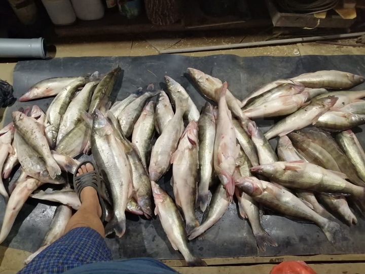 Дом 90 м² на участке 9 сот.