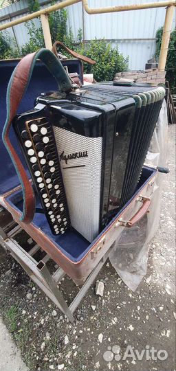 Баян тульский