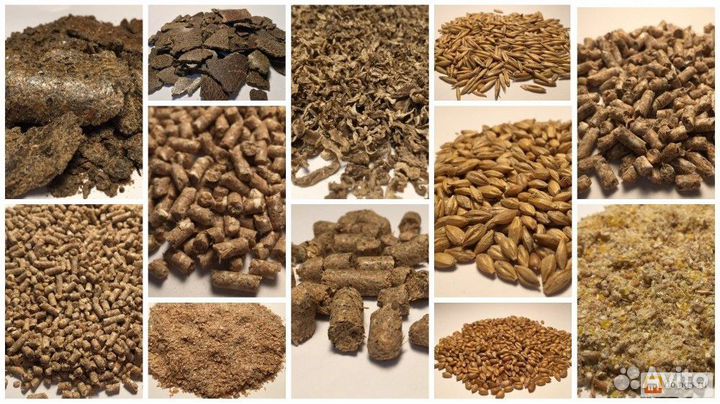 Комбикорма,зерно и товары для животных