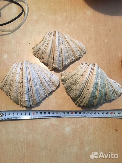 Фильтр помпа и декор для аквариума