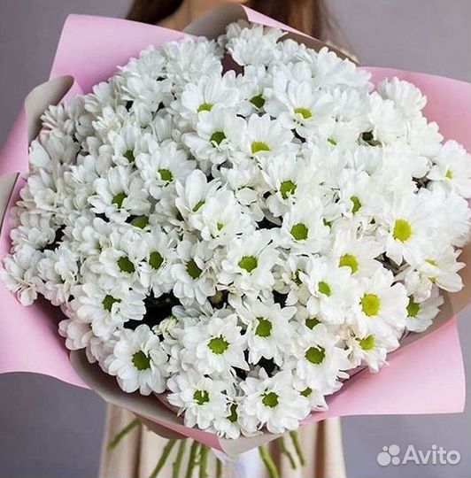 Хризантема Доставка цветов Букеты