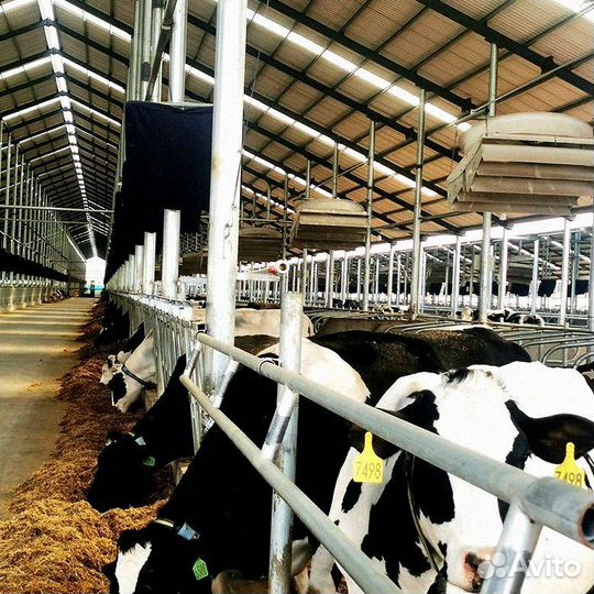 Циклонный вентилятор новый