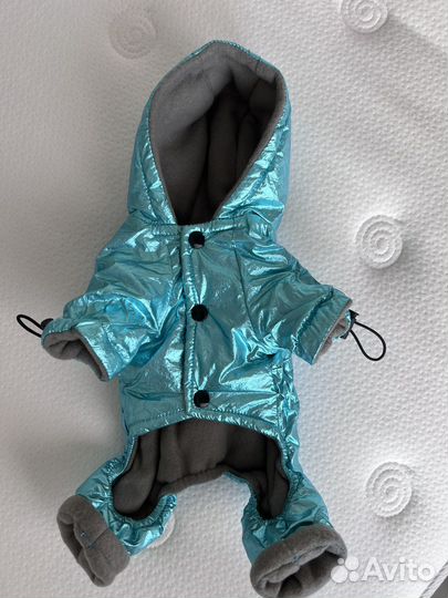 Одежда для маленьких собак xs
