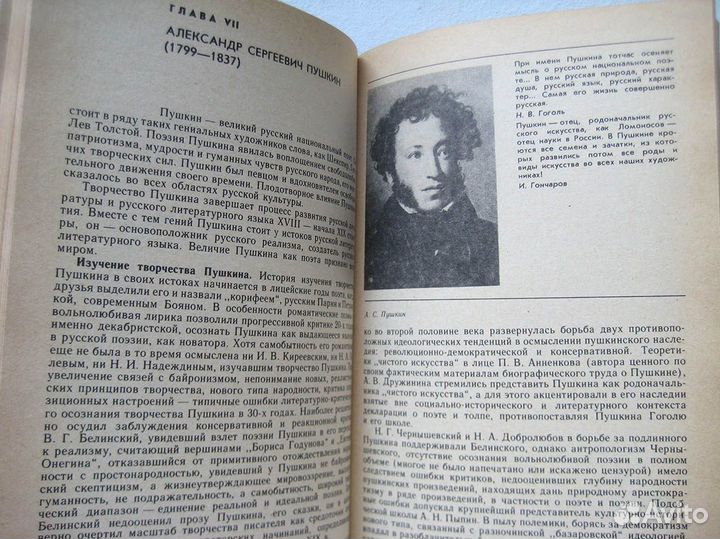 Книга История русской литературы XIX в. 1989 г