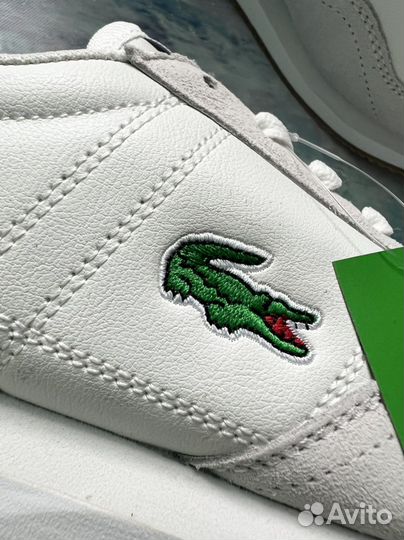 Р.41-46 Мужские кроссовки Lacoste