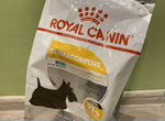 Royal canin dermocomfort корм для собак