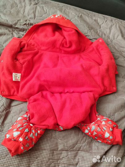 Одежда для собак