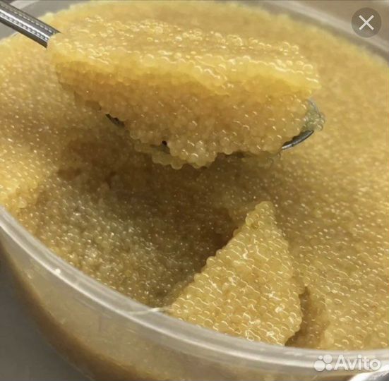Икра щучья