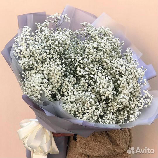 Гипсофила (доставка цветов)