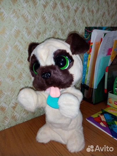 Интерактивный Мопс