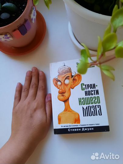 Книга Странности нашего мозга