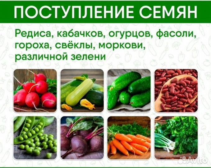 Семена микрозелени для выращивания дома