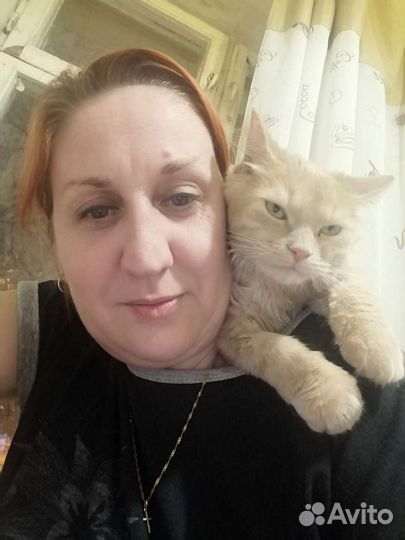 Ветеринарный врач на дом. Круглосуточно