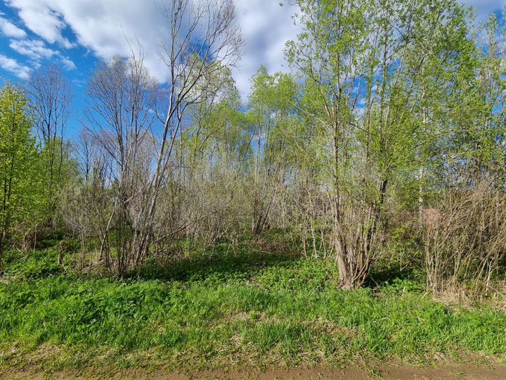 Участок 7,6 сот. (СНТ, ДНП)