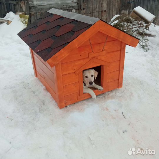 Будка, конура для собаки