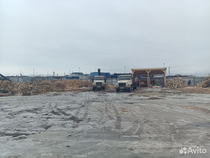 Дрова березовые от 3м3