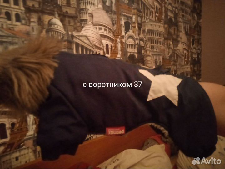 Комбинезон для собаки