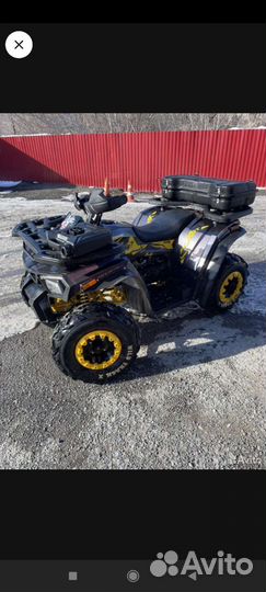 Квадрик motoland 200 wild track x pro