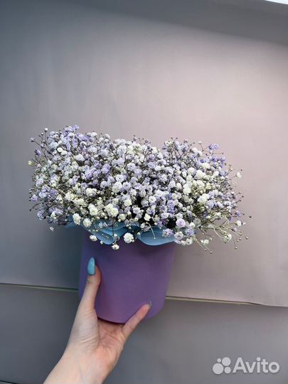 Букет с гипсофилой для девушки