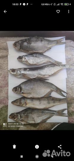 Отдых и рыбалка в Харабалинском районе