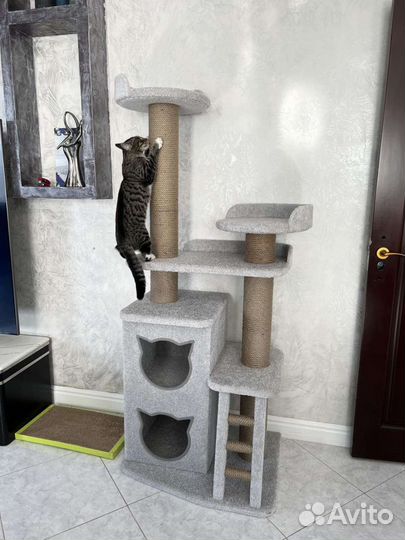 Когтеточки, лежаки, домики для кошек